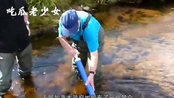 娱乐吃瓜老少女是谁,她是如何成为网络红人的？